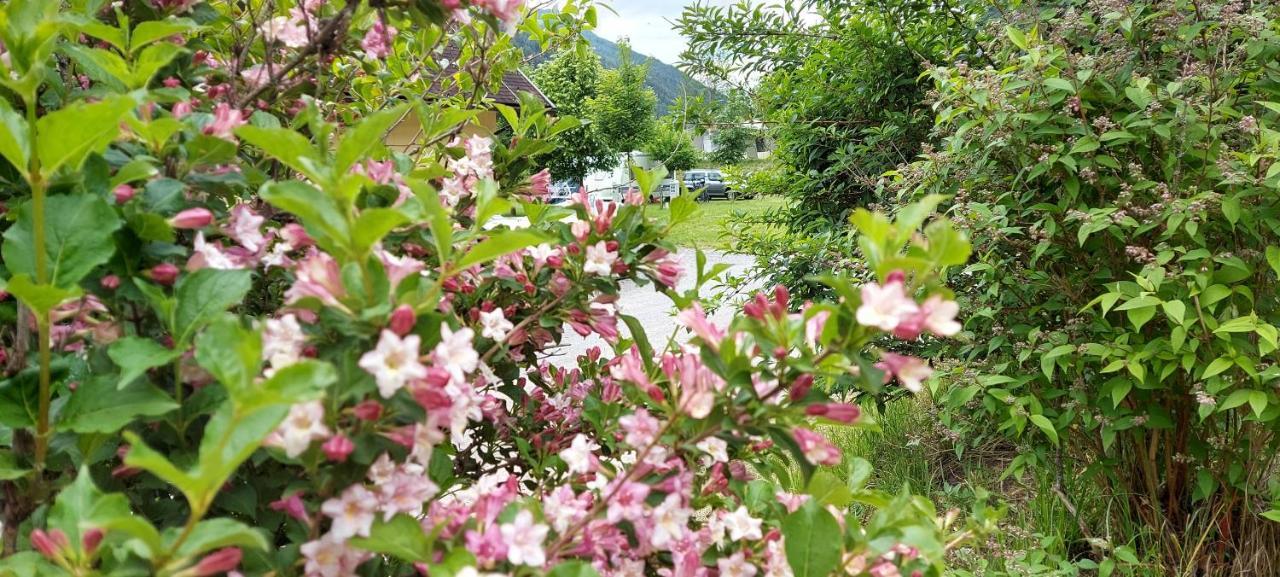 Camping Bella Austria Sankt Peter am Kammersberg ภายนอก รูปภาพ