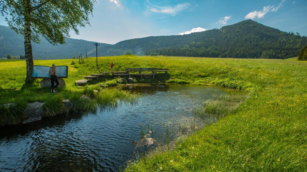 Camping Bella Austria Sankt Peter am Kammersberg ภายนอก รูปภาพ